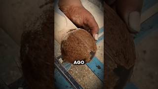 THE ANCIENT SECRET OF COCONUTS! 🥥🎶 #history #music #craftsmanship #nature