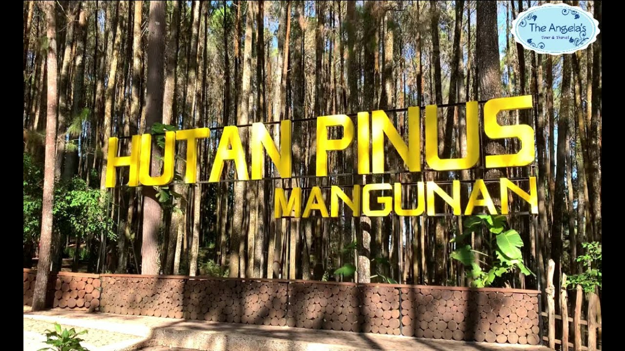 Hutan Pinus Mangunan