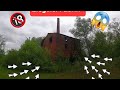 🏚🧱 Lost Places alte Ziegel Fabrik Verlassener Ort Stillgelegt Einbruchgefahr