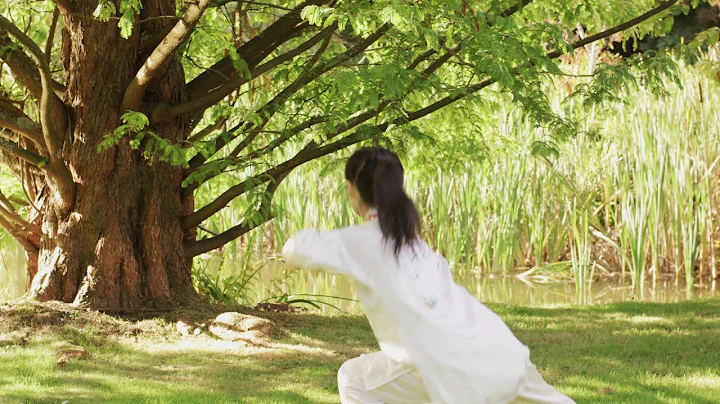Water Style Introduction (YMAA) Helen Liang - Liu ...