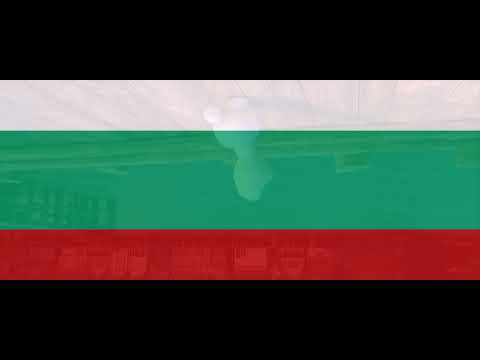 Some Things Never Change Bulgarian Dvd Pitch