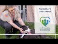 We Care - Animal Care and Control - Lake County Health Department