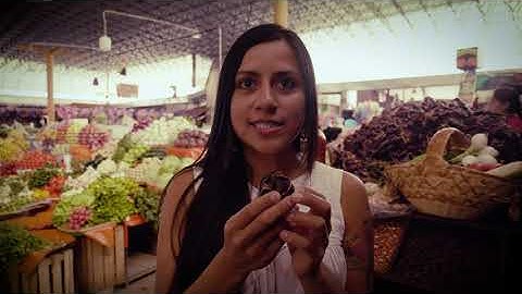 MOLCA - A Guide To Mexican Dried Chillies (Chile Secos)