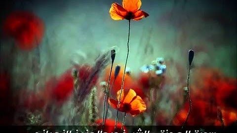 سورة الهمزة - تلاوة خاشعة للشيخ عبدالعزيز الزهراني