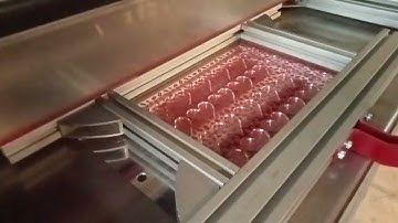 Lusso banmakser thermoforming machine for chocolate transfer sheet printing works