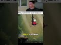 Vous en pensez quoi de votre côté ? Faut il streamer tout les jours? #gamingfr #twitchfr #streamerfr