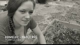 Krmelec - Padlý rýč (TÖRR COVER) - soft verze