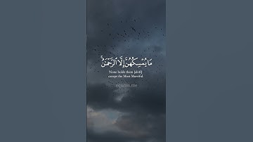 أولم يروا إلى الطير فوقهم صافات ويقبضن || تلاوة بديعة للشيخ #ناصر_القطامي