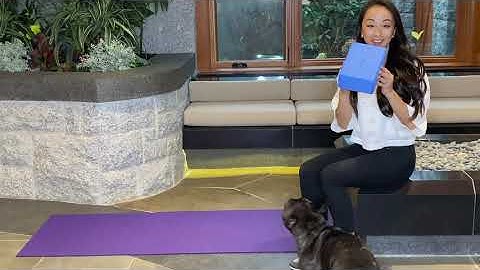 Exercise to Take Too Much Curve Out of Your Low Back (Hyperlordosis)