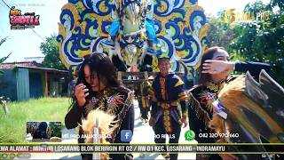 Ngaplang Ngaplang  New Shopii 2026  Luwung Gesik Blok Tengah Krangkeng