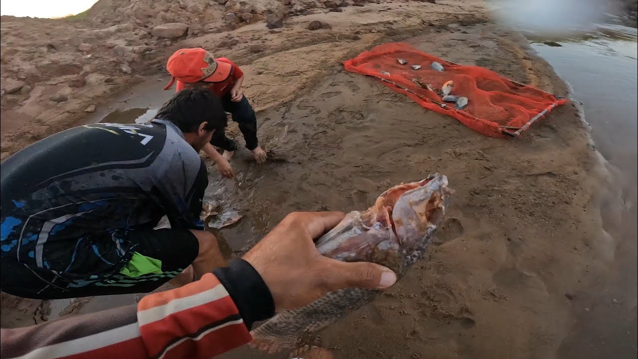 OLHA OQUE ACONTECEU COM ESSE PEIXE! AINDA BEM QUE CHEGAMOS A TEMPO PARA APROVEITAR!