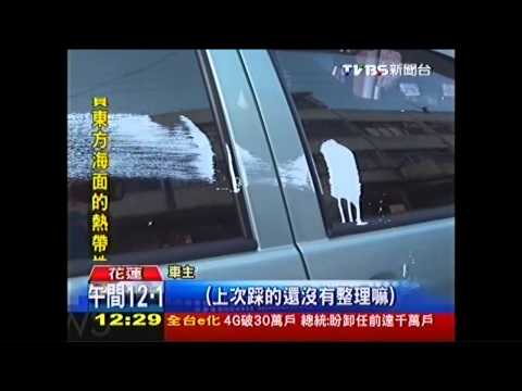 又來了！跳車哥不跳車頂　換拿漆潑車