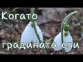 Когато градината спи Зимна разходка тишина и очакване Живот на село