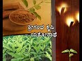 Sandalwood Cultivation_ಶ್ರೀಗಂಧ ಕೃಷಿ