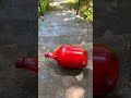 Color Bottle Crashing #crushing #experiment # #bottle #crushingstuff #relaxing #satisfying