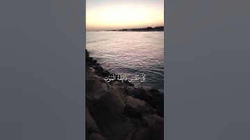 كل نفسٍ ذائقة الموت🤍|تلاوة رائعة ♥️|أرح مسمعك| حالات واتس قرآن