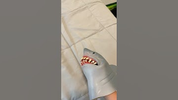Shark puppets scream off