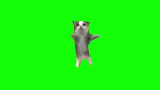 Happy Happy Happy Cat Green Screen Meme