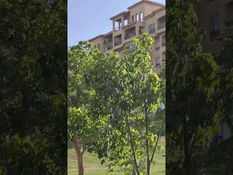 دائما مع حرارة الشمس يأتي اللطف والرحمة اذكروا الرحمن رحمن مشاري ادعيه اكسبلور   