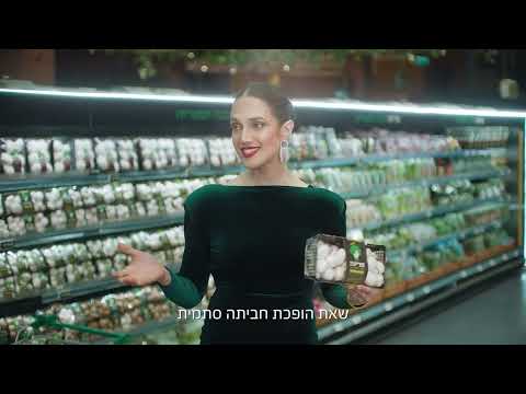 Marina Mashroom Commercial