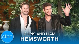 &#39;Sibling Duo&#39; Chris and Liam Hemsworth