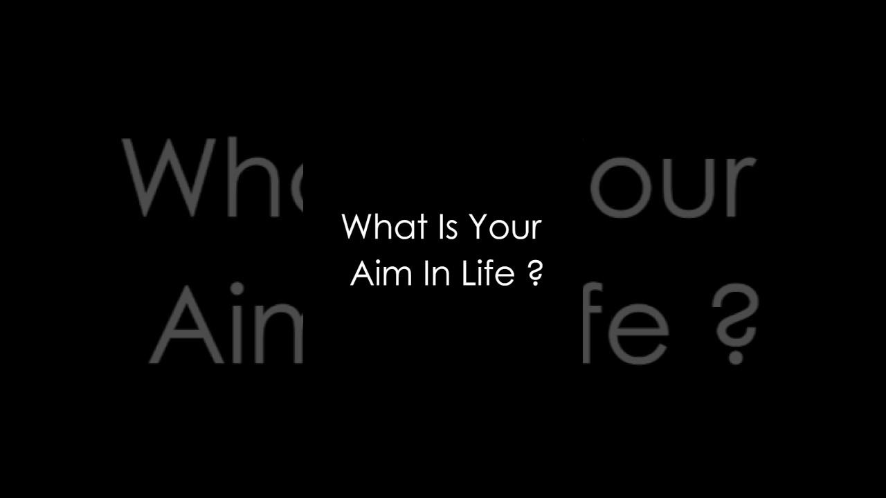 I'm a Traveller🎊2025