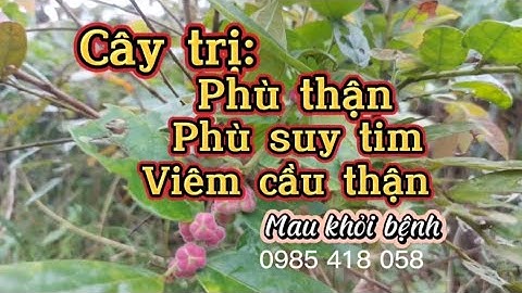 So sánh phù thận và phù tim năm 2024