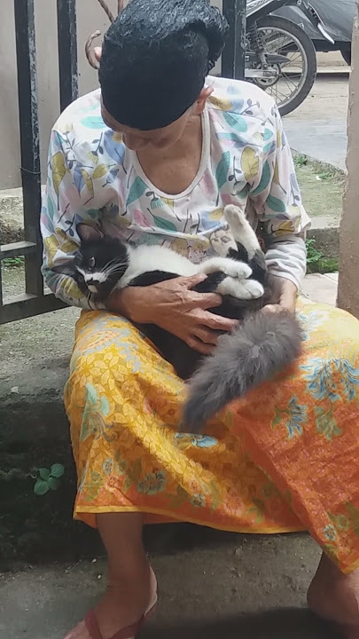 nenek viral ngomong sama kucing