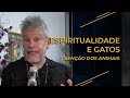 Espiritualidade e Gatos:  Benção dos Animais