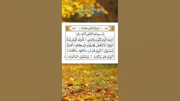 Surah Al-Maun (The Small Kindnesses)   سورة الماعون