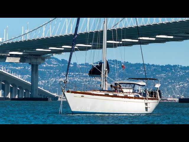 Investigating a Toxic Island | Treasure Island | Sailing Avocet