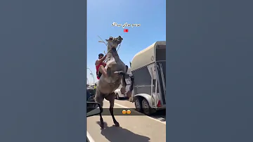 صباح الأنوار من موسم مولاي عبدالله موسم ملكي 