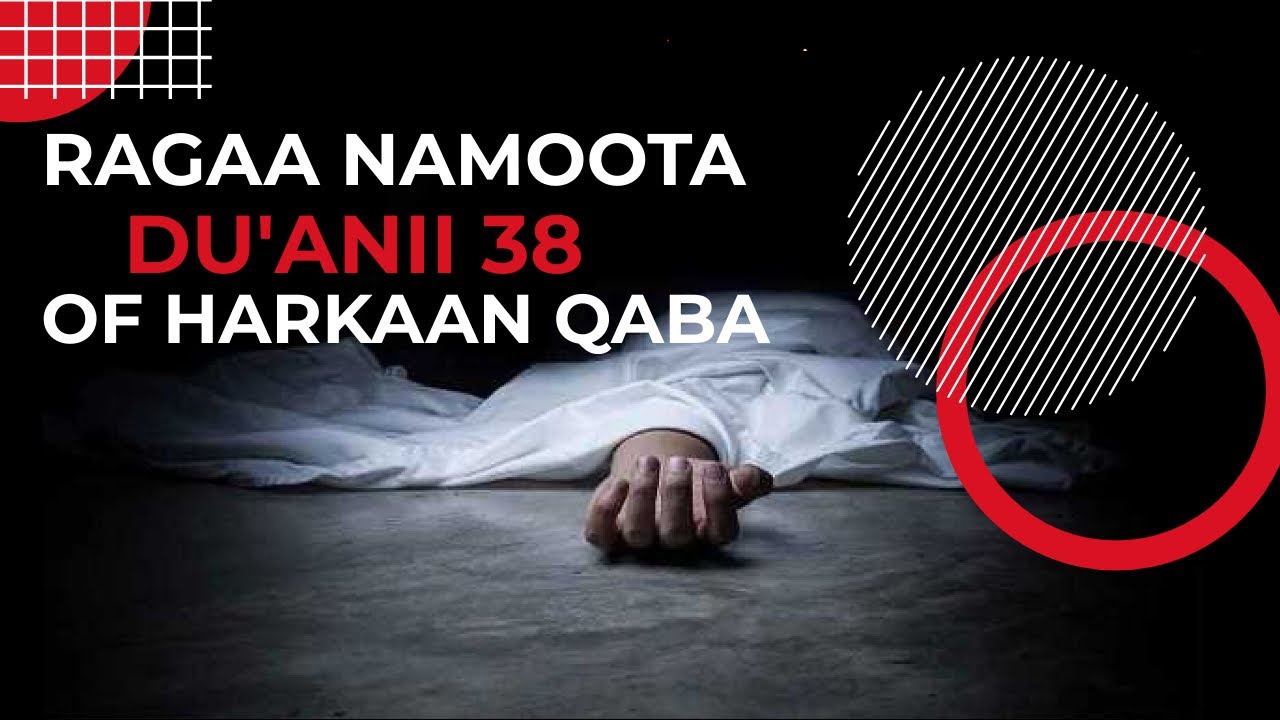 Ragaa namoota du'anii 38 of harkaan qaba