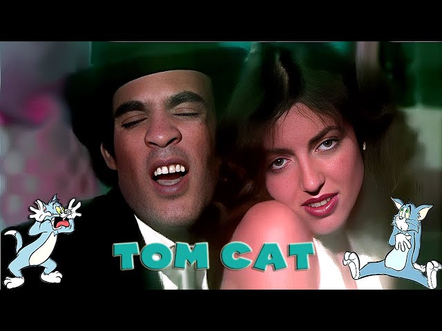 Tom Cat • Gilla class=