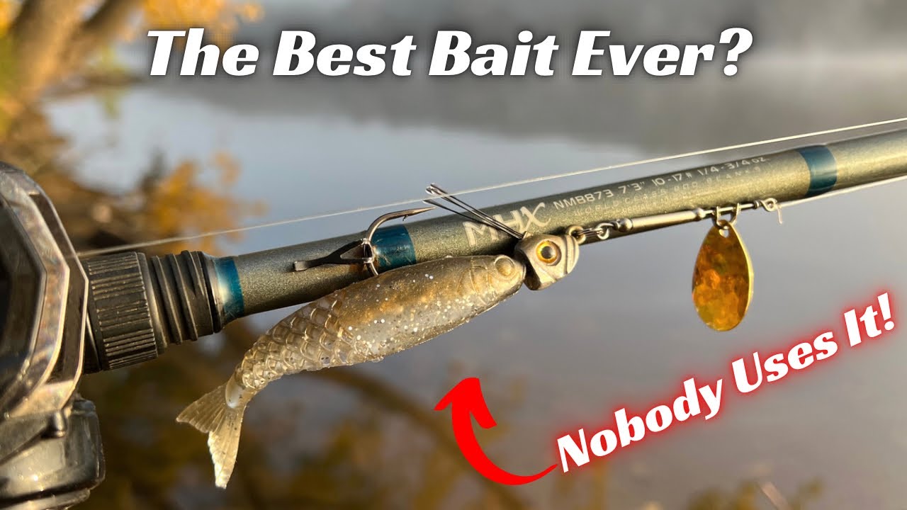 The Most Productive Fishing Lure Ever Created! Prove Me Wrong! 