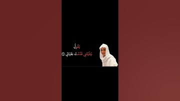 سورة الفجر #عبدالرحمن_مسعد #محمد_اللحيدان #ياسر_الدوسري #اسلام_صبحي #quran #قرآن #قران_كريم #viral