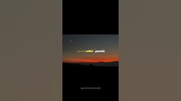 المنشاوي|سوره الروم🎧🖤