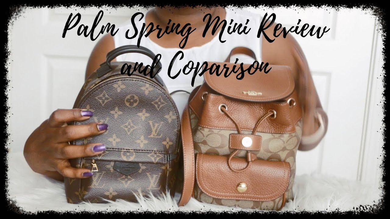 Louis Vuitton Palm Springs Mini Review and Coach Pennie 22 Backpack  Comparison 