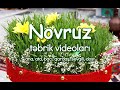 Novruz Bayramı Təbrik Videosu Yüklə 2021