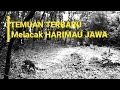 Temuan terbaru melacak harimau jawa