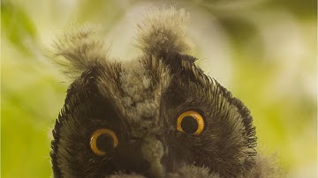 Blame is not the answer: Reflecting on our implicit biases