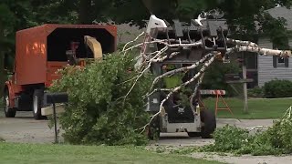 Download Lagu Neighbors help rescue girl after tree falls on her, child traumatically injured MP3 Download Lagu Neighbors help rescue girl after tree falls on her, child traumatically injured MP3