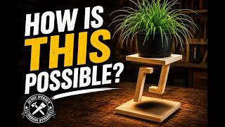 This Plant Stand Defies Gravity!