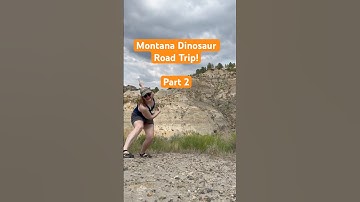 Bad Lands, Great Fossils