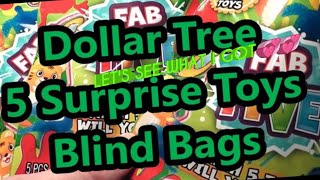 Dollar tree Fab 5 mystery blind bags
