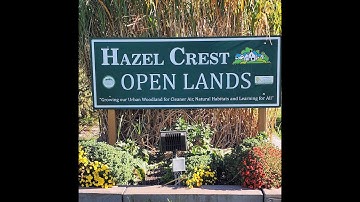Hazel Crest Open Lands Project March , 2025 PURS