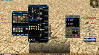 Metin2 Soulstone Bot by DaRealFreak