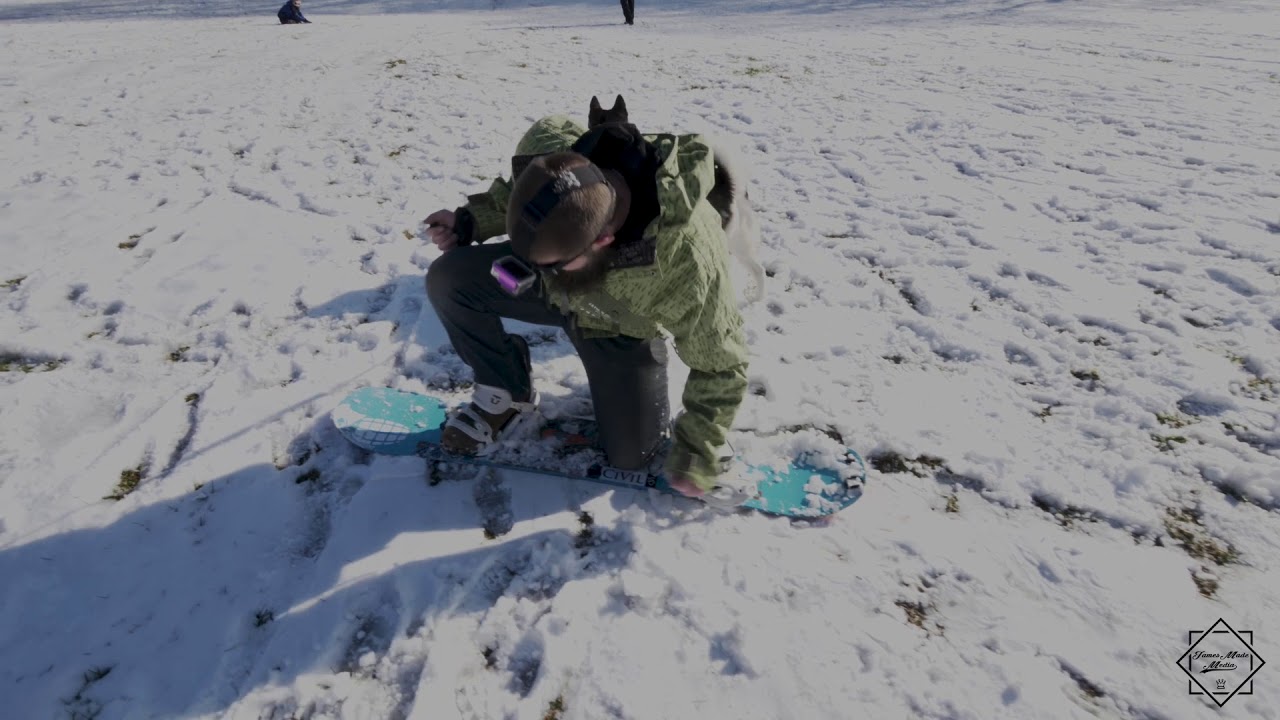 Siberian Husky Goes Snowboarding: First Snow in Connecticut