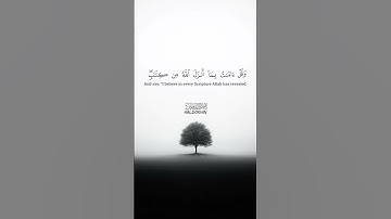 تلاوة تريح القلب القارئ #هيثم_الدخين   #حالات_واتساب_دينية#راحة_نفسية #قران_كريم