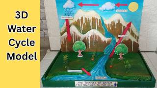 Water Cycle Model | DIY 3D Water Cycle Project | Easy & Creative idea